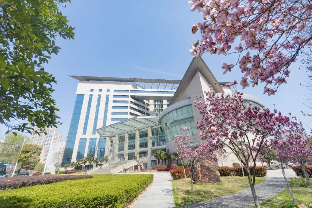 湖北大学公开招聘20名辅导员,还有专职教师,医师岗位!