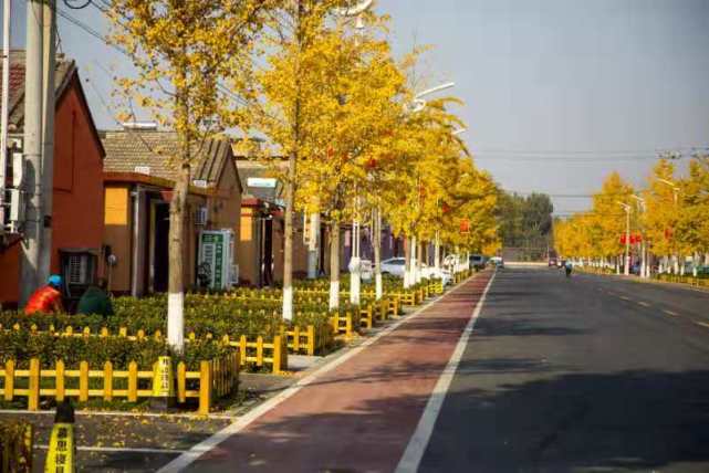北京又多一趟 开往春天的列车 三季花海四季常绿 北京 新浪新闻