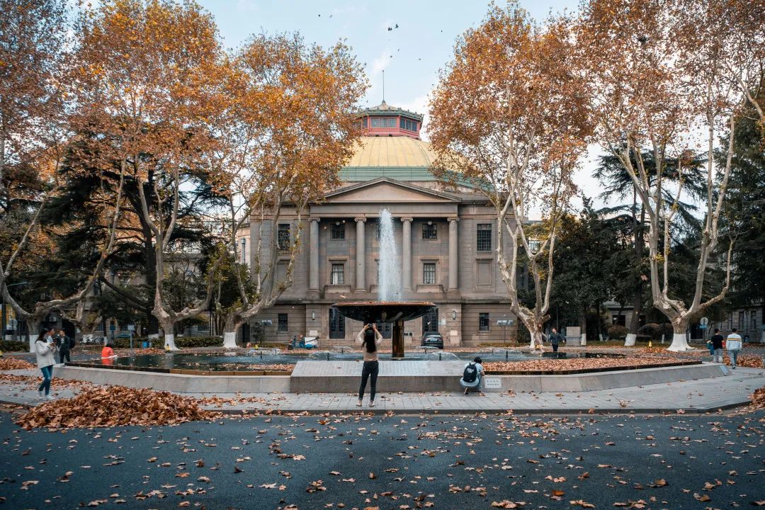 我见过南京最有文化的梧桐在东南大学