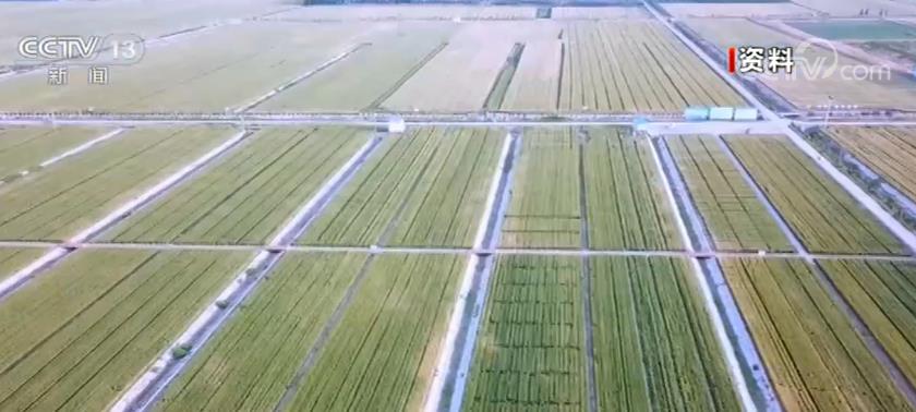 禁止用永久基本农田从事破坏耕作层行为 禁止闲置、荒芜永久基本农田