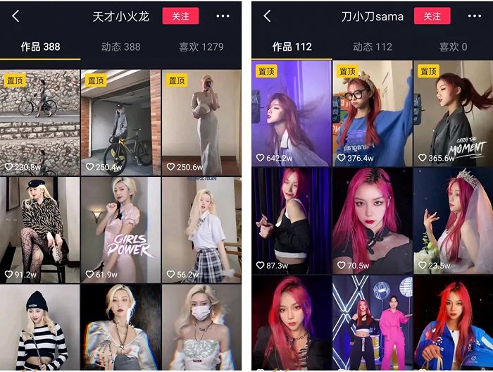 “天才小火龙”、“刀小刀sama”抖音主页截图