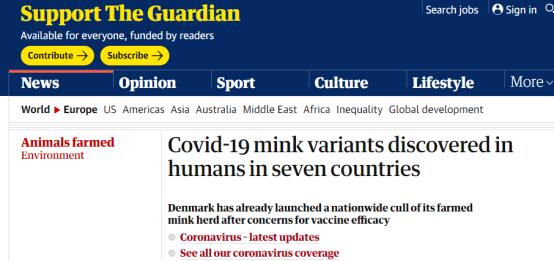 英媒：已在7国患者身上发现水貂变种新冠病毒 丹麦全国杀貂