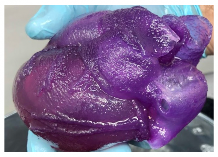 科学家用类似心脏组织的生物墨水材料3D打印心脏模型 1 科学家用类似心脏组织的生物墨水材料3D打印心脏模型