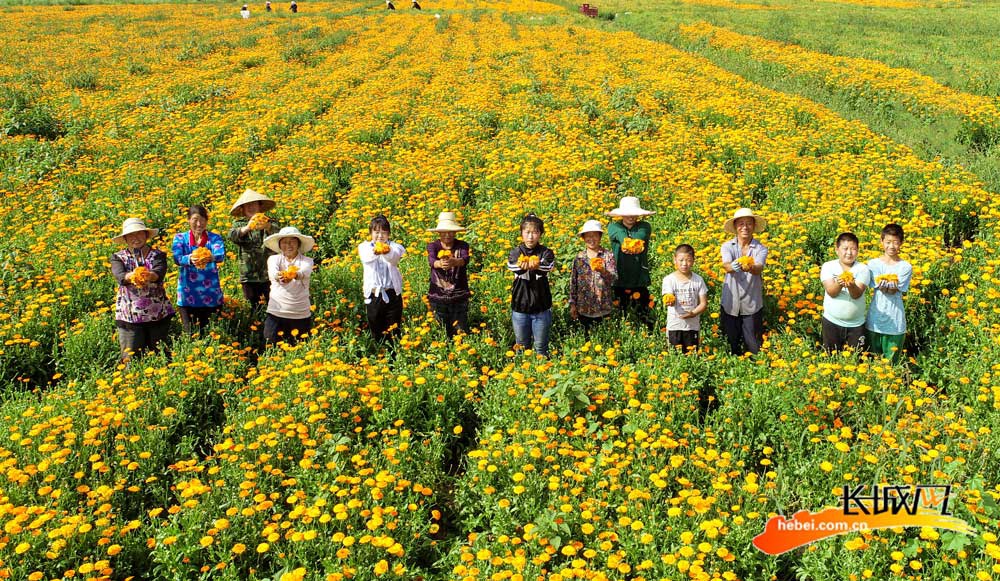 村民喜气洋洋迎接小康。