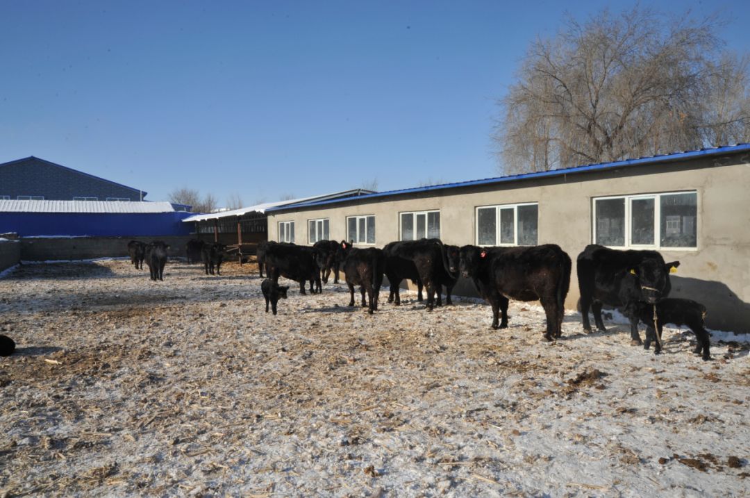 农村闲置院子做什么能赚钱？这几个项目“钱”景可观易游娱乐城- YY易游体育官方网站- 易游体育APP利润又高