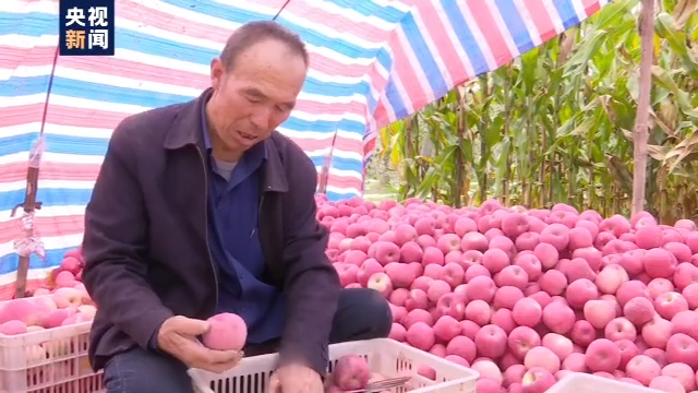 受低温冻害影响全国苹果产量略降，各地上市价格普遍高于去年