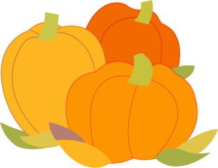 郑州大学2020研究生_权威发布|郑州大学2021年博士研究生招生简章