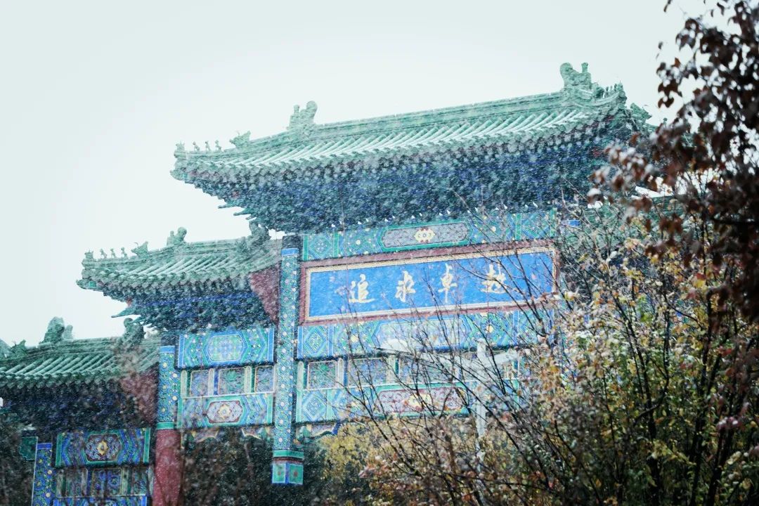 在北体邂逅一场校园的初雪04雪04雪04雪04雪04