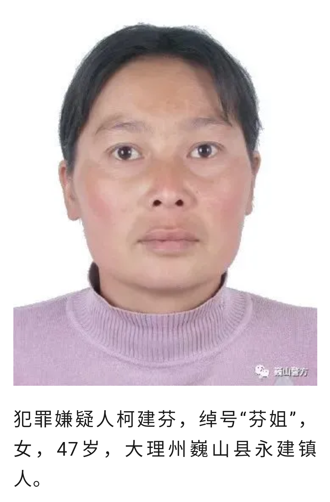 抓获19人!云南大理打掉一个涉恶犯罪团伙