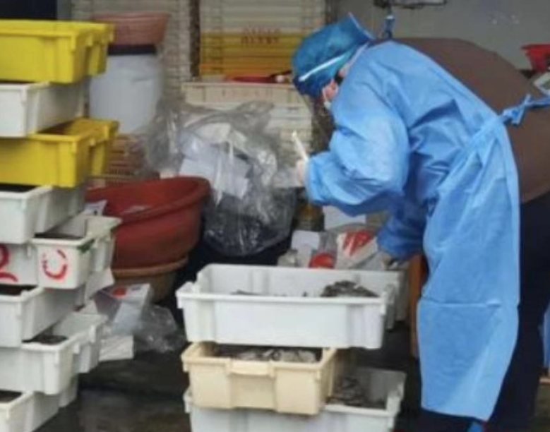 山东将设立进口冷链食品集中监管专仓 12月10日前建成并运行