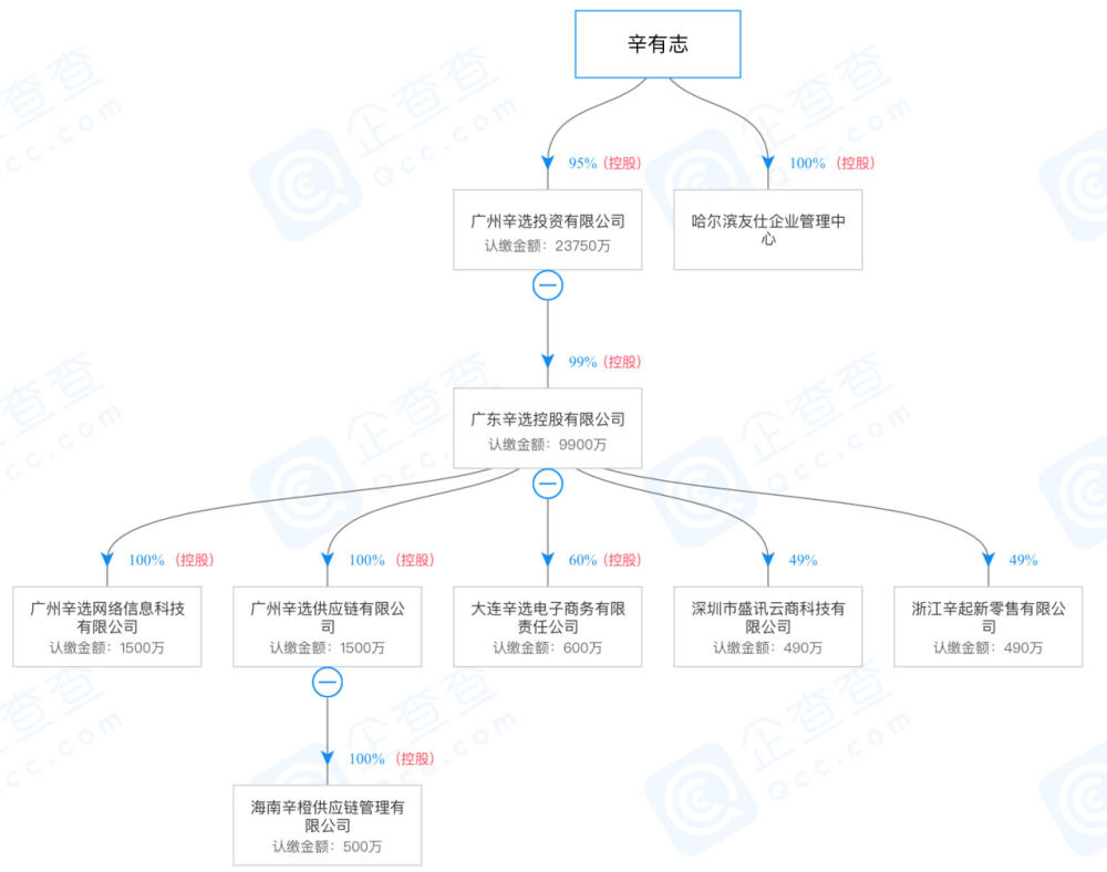 辛巴旗下公司（图：企查查）