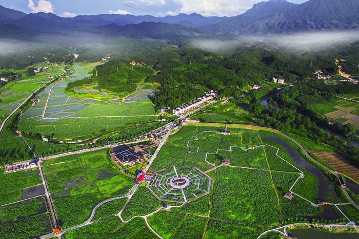 上图为整治前的修竹村莲田一角,下图为整治后美丽的修竹荷苑.