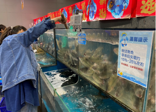 图说:11月26日,盒马上海曹家渡店水产区,消费者在选购活鱼,温馨提示在