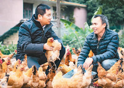 　龚光辉（左）在向农户传授养鸡知识。