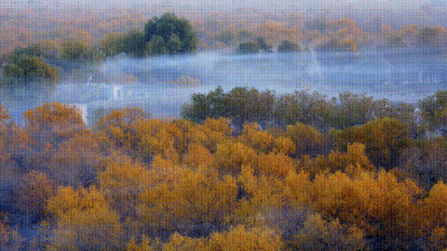 胡杨与湖水交相辉映。阿克苏地委宣传部供图