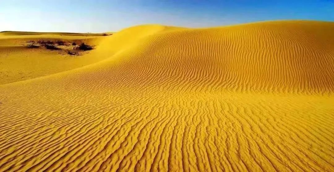 塔克拉玛干沙漠。阿克苏地委宣传部供图
