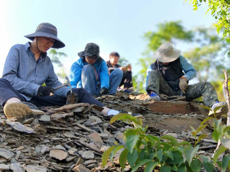 孙智新（左一）与导师和团队成员一起发掘范特西虫化石。受访者供图