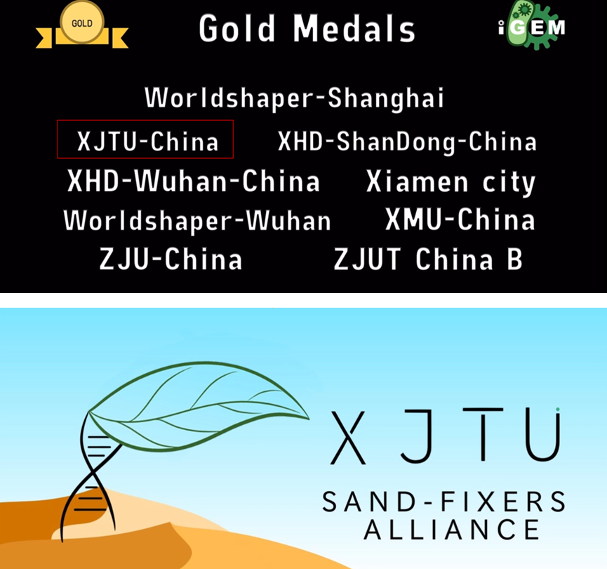 西安交通大学2020全_西安交大一附院精神心理卫生科多领域领跑全国(2)