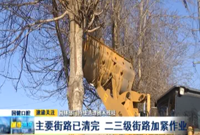 长春主要街路树木残枝已清完二三级街路加紧作业 手机新浪网 长春主要街路树木残枝已清完二三级街路加紧作业 手机新浪网
