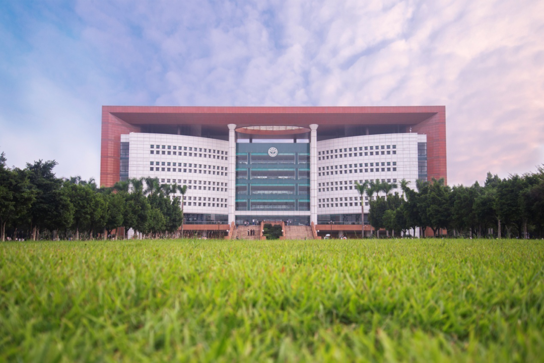 叮中大秋拍攻略上线啦