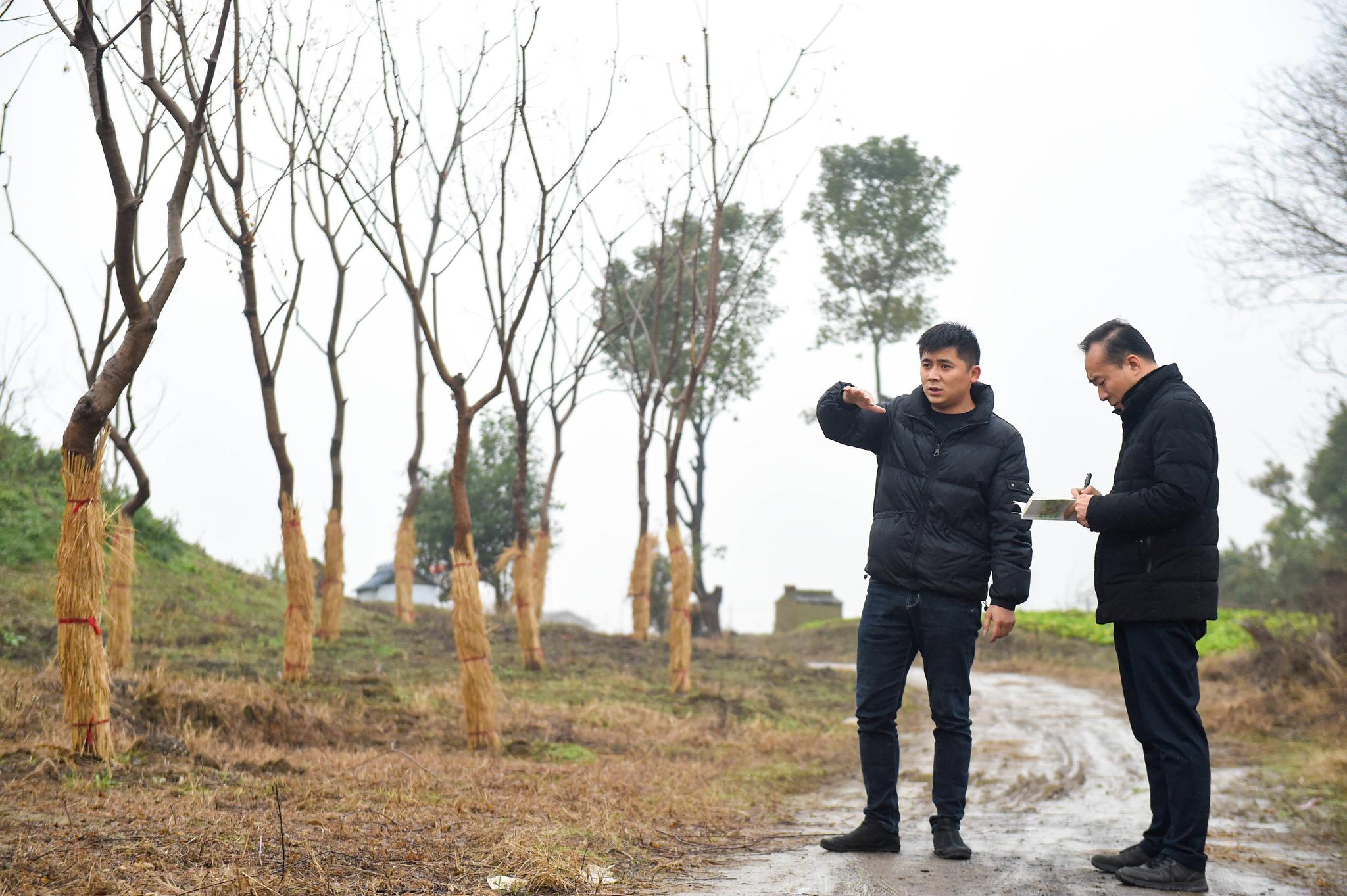 最后一个脱贫村摘帽以后高淳临湖村拔掉穷根子轻装奔小康
