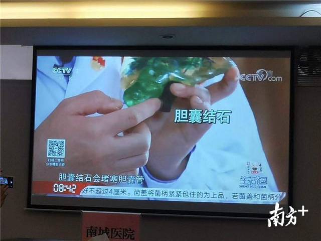 央视一套聚焦东莞南城医院，9分钟节目让观众认识“吃进身体的石头”