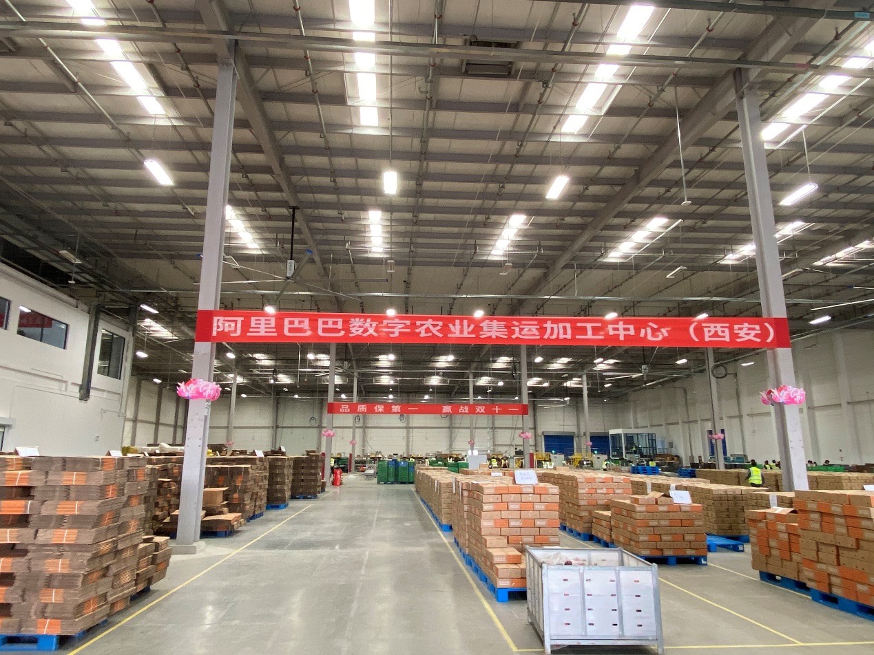 陕西农产品全指南：从陕北红枣到陕南茶叶，读懂三秦大地的物产版图