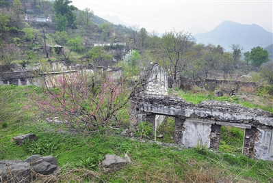  门头沟王平口村，煤矿关停后，自然生态开始恢复。