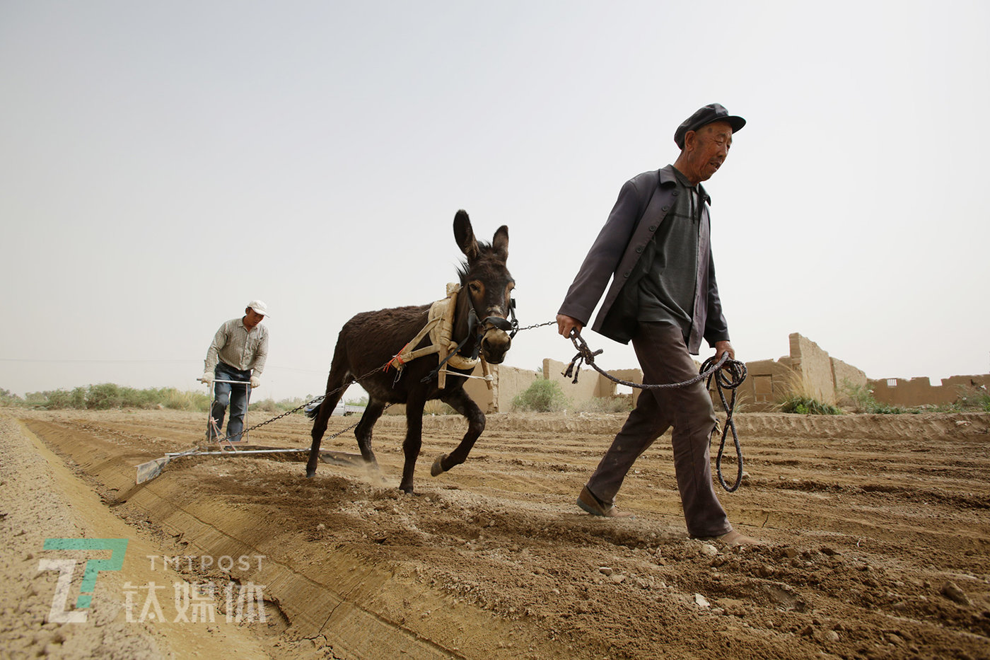 近几年,村子里320户人迁走140户,人口总数从两千多减少到一千.