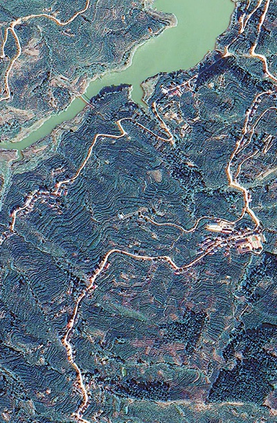 卫星影像显示的2020年11月湖北省秭归县局部脐橙种植情况.