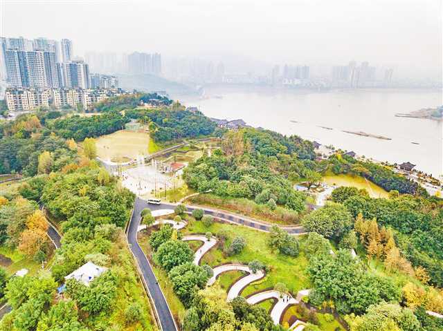 十一月二十六日,巴南区龙洲湾公园.记者 谢智强 摄视觉重庆