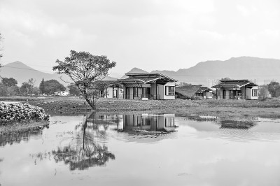 浙江省杭州市富阳区阳陂湖在生态修复治理项目一期完成后正式对外开放，通过优化城市生态空间，为市民打造休闲旅游目的地。新华社发