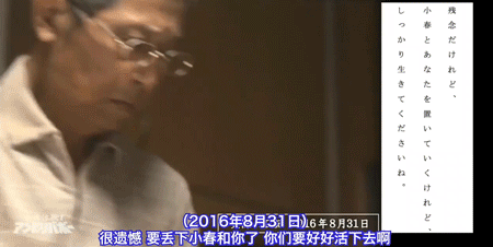 图：《奇迹体验》