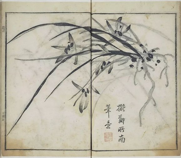 鄙视赵孟頫影响朱耷宋末文人郑思肖与其笔下的墨兰