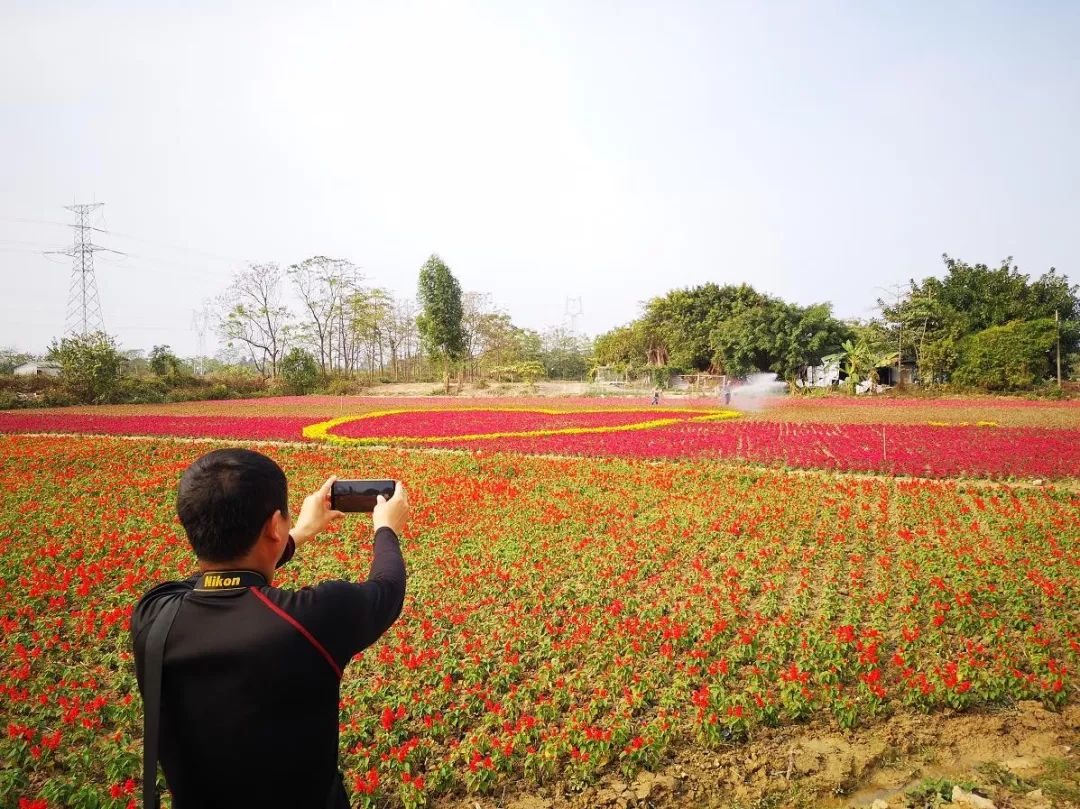 迎春花市不瞎逛，醒目花市邀你浪！一站式购物、秒杀、抽奖、吃喝玩乐，爽过旅游