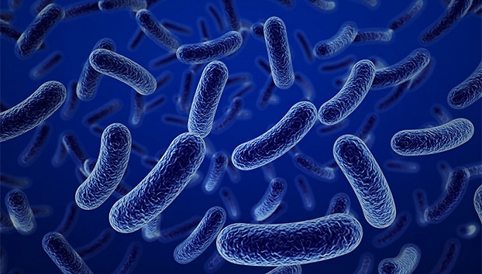 兰州布病阳性6620人企业8名责任人被处理