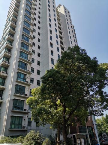 上海超高人气别墅东方广场 VS 锦绣汇丽苑?