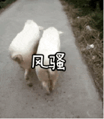 211_240gif 动态图 动图