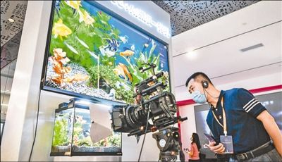 2020世界超高清视频产业发展大会举行 我国积极建立4K城市频道