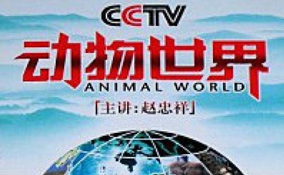 5亿财产只给一个人!从此人间再无《动物世界》.