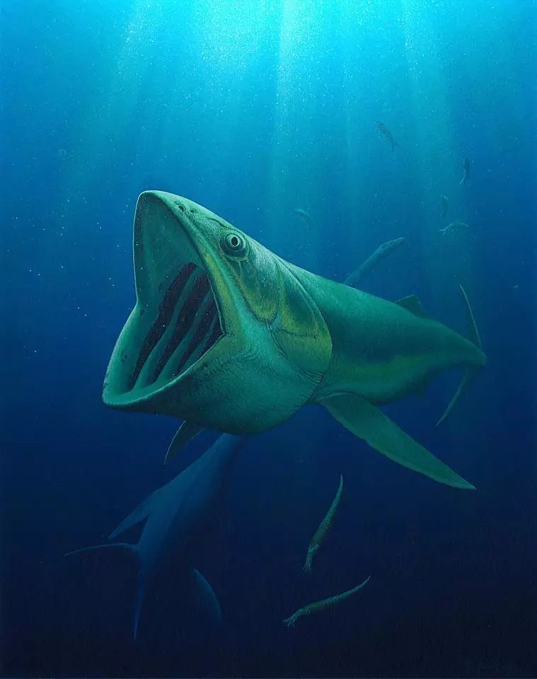 侏罗纪巨嘴鱼犹如海中吸尘器