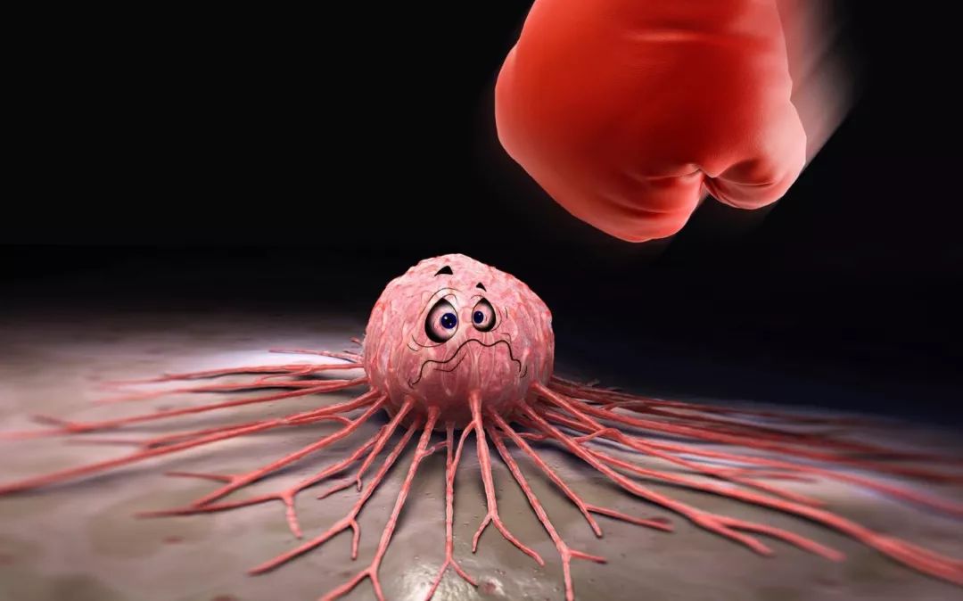 赵忠祥因鳞状细胞癌病逝,这种恶性肿瘤常见于老年人