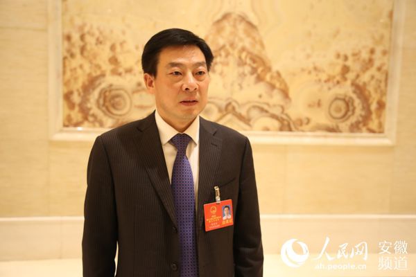 安徽省人大代表朱小兵以产业集群驱动县域经济发展本网安徽地方首页