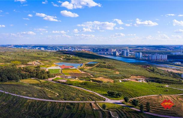 图为神东矿区周边生态绿地