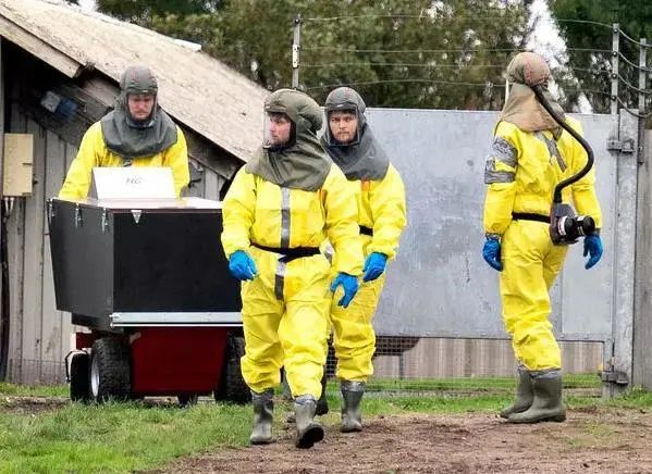 丹麦捕杀所有水貂：致新冠变异且可传人 A股华斯股份“躺枪”