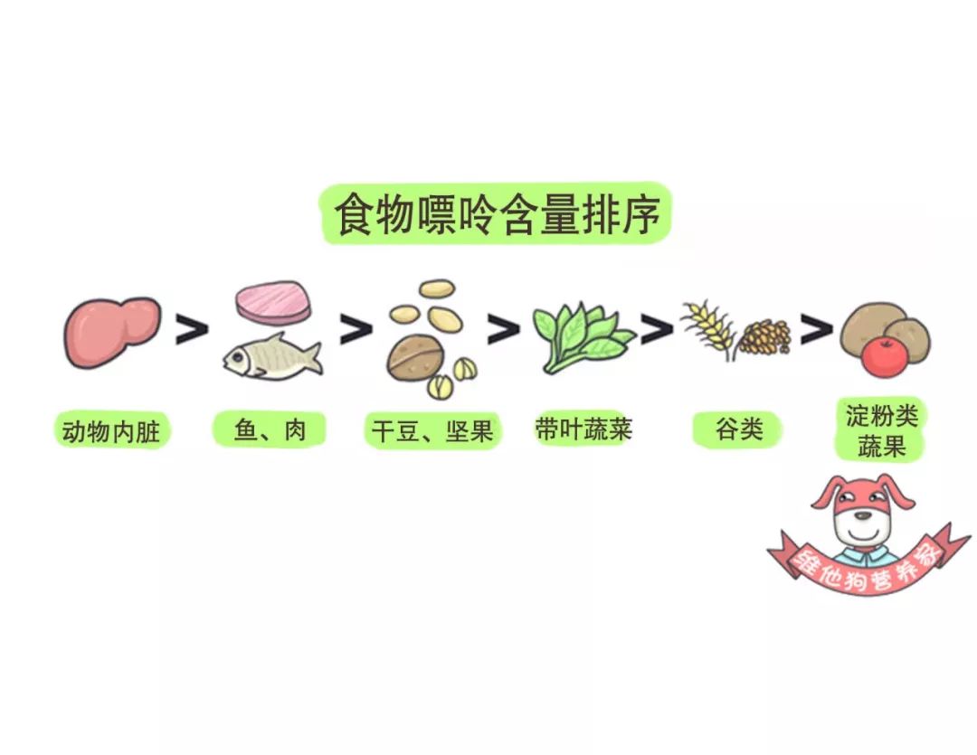 痛风食物一览表_痛风食物