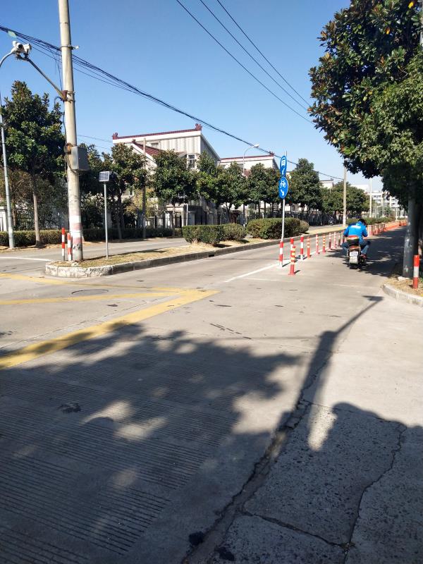 元江路上装了电子眼后,过往司机车速慢下来了.  王海燕摄