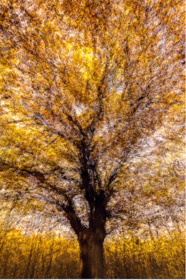 把多重曝光玩到如此境界,印象派大师都服了