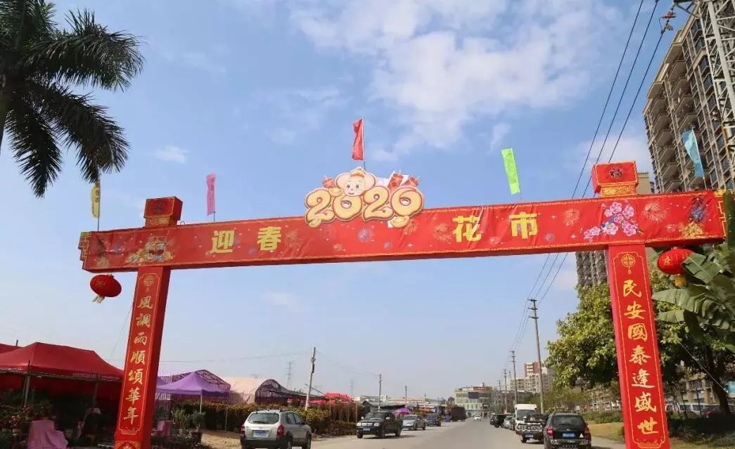 行花街了喂!东莞多个镇街"花市"开启!时间,地点全在这!