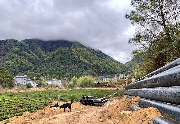 暂时被垒起来的管道，远处是大安源村。摄影：赵晓娟